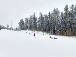 Погода Силичи сейчас